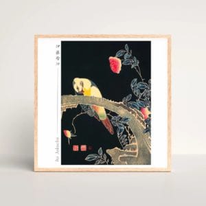 in frame - Itō Jakuchū Print – Parrot on the Branch of a Flowering Rose Bush (ca. 1900) #001 (public domain reproduction) Itō Jakuchū Print – Parrot on the Branch of a Flowering Rose Bush (ca. 1900) #001 (public domain reproduction)