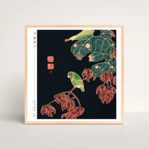 in frame - Itō Jakuchū Print – The Paroquet (ca. 1900) #002 (public domain reproduction Itō Jakuchū Print – The Paroquet (ca. 1900) #002 (public domain reproduction