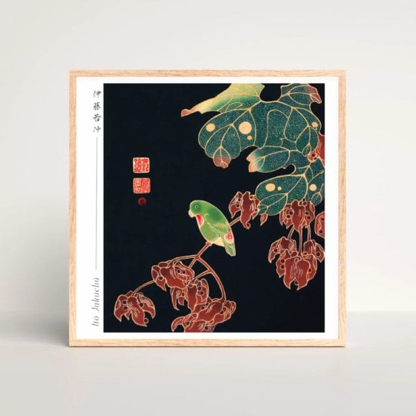 Itō Jakuchū Print – The Paroquet (ca. 1900) #002 (public domain reproduction