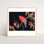 Itō Jakuchū Print – Red Parrot on the Branch of a Tree (ca. 1900)  #005