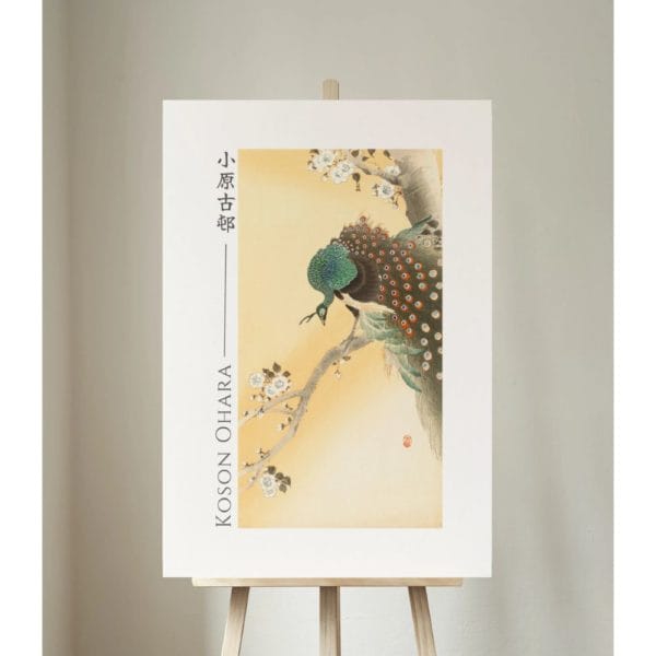 front image Ohara Koson Print – Peacock on a cherry blossom tree #013 (public domain reproduction) Ohara Koson Print – Peacock on a cherry blossom tree #013 (public domain reproduction)