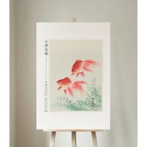 Ohara Koson Print – Two Veil Goldfish #017 (public domain reproduction)