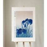 Ohara Koson Print - Iris Flowers  #052