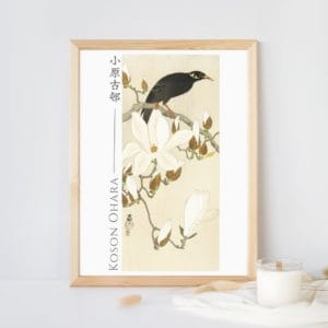 Ohara Koson Print – Myna On Magnolia Branch #062 (public domain reproduction)