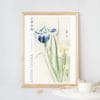 in frame Ohara Koson Print – Irises #075 (public domain reproduction) Ohara Koson Print – Irises #075 (public domain reproduction)