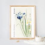 Ohara Koson Print - Irises #075