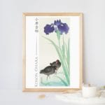 Ohara Koson Print - Waterhoots And Iris  #087