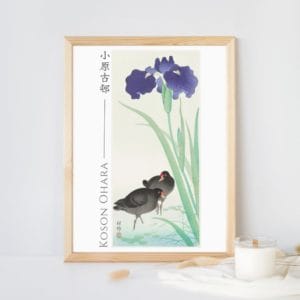 Ohara Koson Print – Waterhoots And Iris #087 (public domain reproduction)