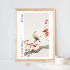 in frame Ohara Koson Print – Japanese Plague Bird On Maple #089 (public domain reproduction) Ohara Koson Print – Japanese Plague Bird On Maple #089 (public domain reproduction)