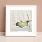 Ohara Koson Print - Frog On Lotus Leaf Square #007