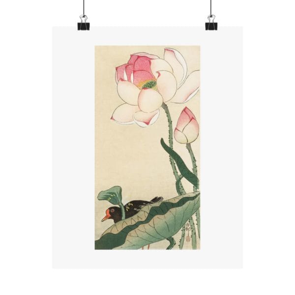 Front, 11″ x 14″ – Ohara Koson Print – Gallinule with Lotus Flowers #024 (public domain reproduction) Ohara Koson Print – Gallinule with Lotus Flowers #024 (public domain reproduction)