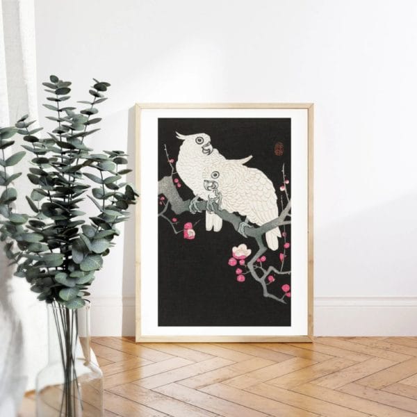 Ohara Koson Print – Two Cockatoo And Plum Blossom #085  (public domain reproduction)