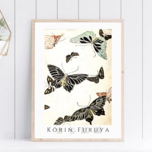 Furuya Kōrin Print – Bijutsukai V16-11 #103 (public domain reproduction)