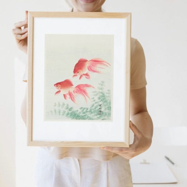 in frame Ohara Koson Print – Two Veil Goldfish #017 (public domain reproduction) Ohara Koson Print – Two Veil Goldfish #017 (public domain reproduction)