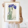 Ohara Koson Print – Blue Irises #026 (public domain reproduction)