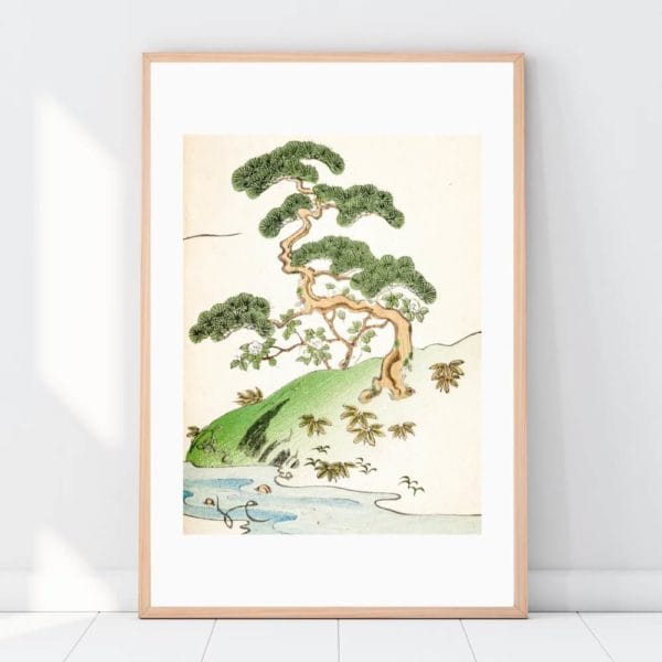 Furuya Kōrin Print – Bijutsukai V11-03 #073 (public domain reproduction)