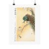 Front, 11″ x 14″ – Ohara Koson Print – Peacock on a cherry blossom tree #013 (public domain reproduction) Ohara Koson Print – Peacock on a cherry blossom tree #013 (public domain reproduction)