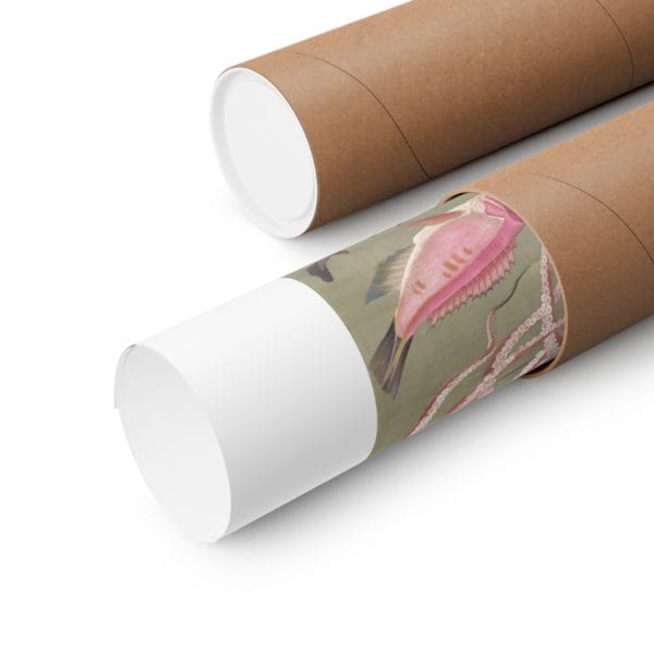 Close up, 11″ x 14″ – Itō Jakuchū Print – Fish and octopus (18th century) #013 (public domain reproduction) Itō Jakuchū Print – Fish and octopus (18th century) #013 (public domain reproduction)