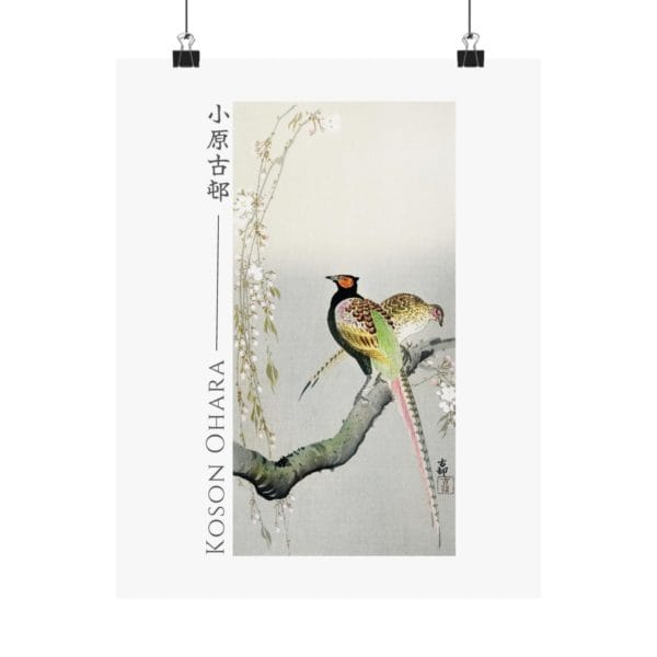 Front, 11″ x 14″ – Ohara Koson Print – Pheasants And Cherry Blossom #064 (public domain reproduction) Ohara Koson Print – Pheasants And Cherry Blossom #064 (public domain reproduction)