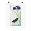 Front, 11″ x 14″ – Ohara Koson Print – Waterhoots And Iris #087 (public domain reproduction) Ohara Koson Print – Waterhoots And Iris #087 (public domain reproduction)