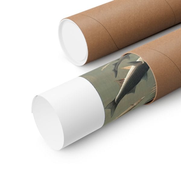 Close up, 11″ x 14″ – Itō Jakuchū Print – Fish (18th century) #012 (public domain reproduction) Itō Jakuchū Print – Fish (18th century) #012 (public domain reproduction)