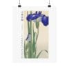 Ohara Koson Print – Blue Irises #026 (public domain reproduction)