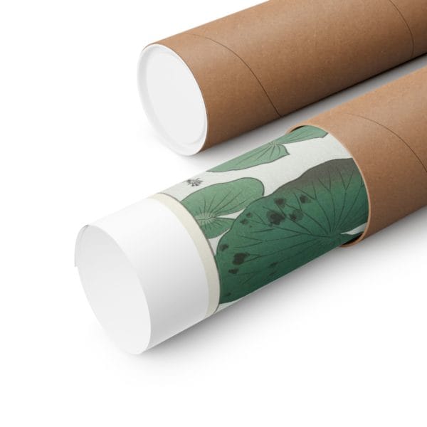 Close up, 11″ x 14″ Ohara Koson Print – Water Lily #018 (public domain reproduction) Ohara Koson Print – Water Lily #018 (public domain reproduction)