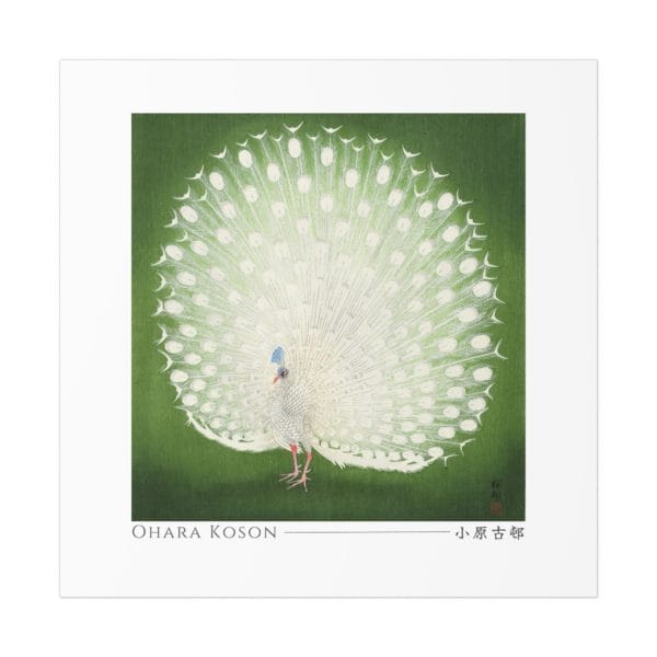 Front, 11_ x 11_, Ohara Koson Print – Peacock Square #006 (public domain reproduction) Ohara Koson Print – Peacock Square #006 (public domain reproduction)