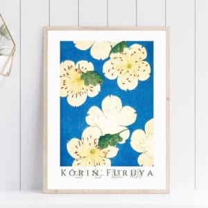 in frame image Furuya Kōrin Print – Bijutsukai V05-20 #063 (public domain reproduction) Furuya Kōrin Print – Bijutsukai V05-20 #063 (public domain reproduction)