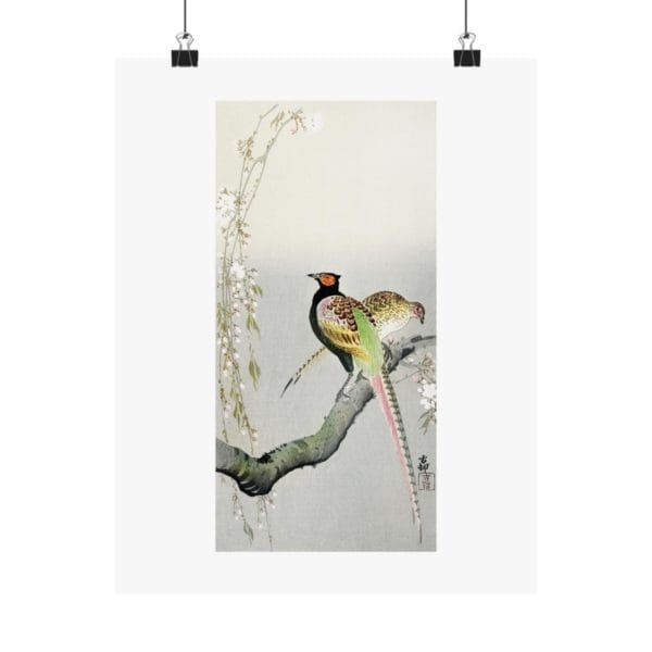 Front, 11″ x 14″ – Ohara Koson Print – Pheasants And Cherry Blossom #064 (public domain reproduction) Ohara Koson Print – Pheasants And Cherry Blossom #064 (public domain reproduction)
