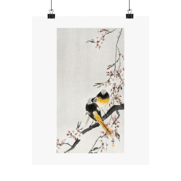 Front, 11″ x 14″ – Ohara Koson Print – Two Sable Red Tails With Cherry Blossom #044 (public domain reproduction) Ohara Koson Print – Two Sable Red Tails With Cherry Blossom #044 (public domain reproduction)