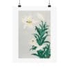Front, 11″ x 14″ – Ohara Koson Print – Lilies #055 (public domain reproduction) Ohara Koson Print – Lilies #055 (public domain reproduction)